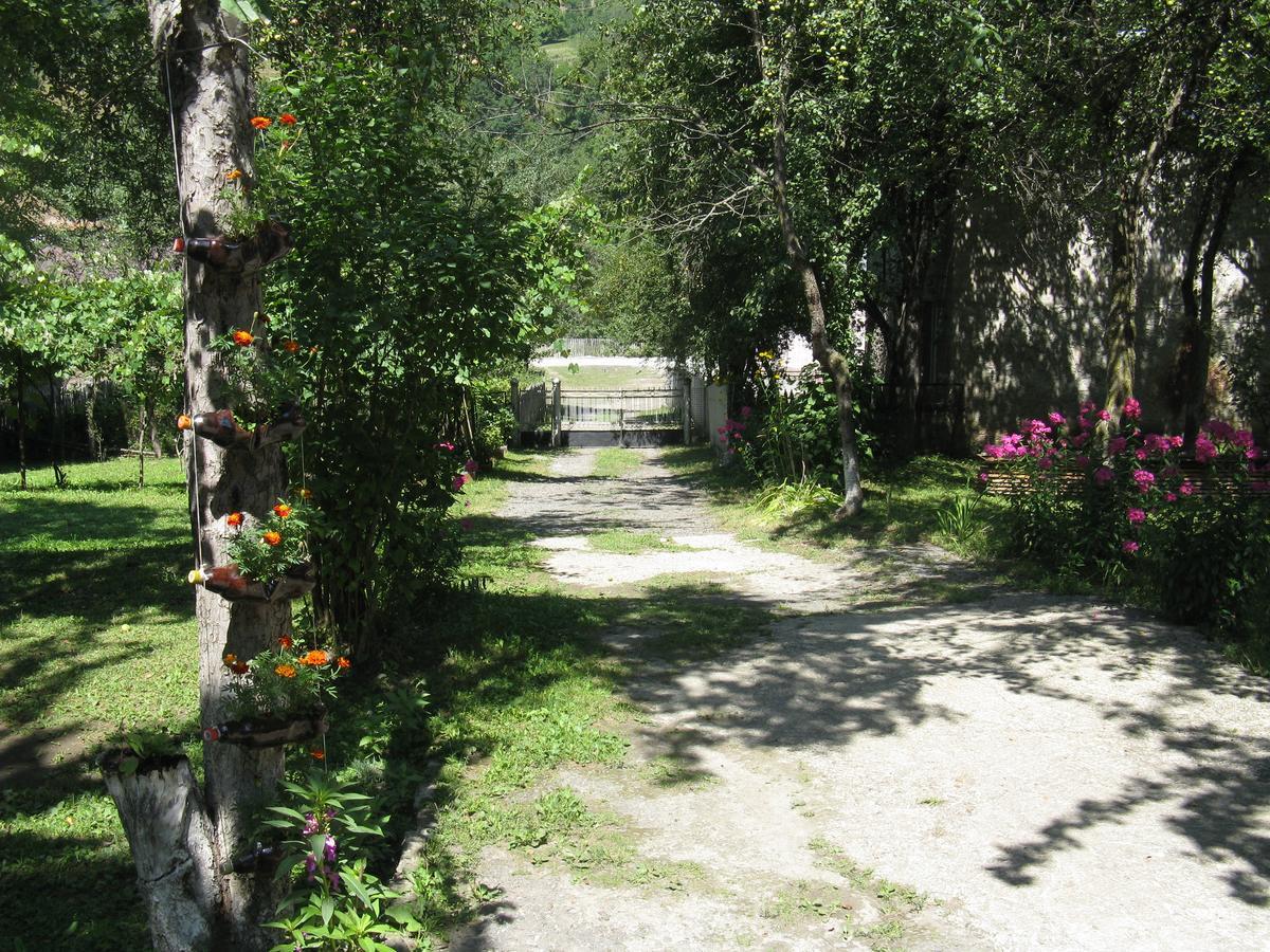 Ushba Otel Mestia Dış mekan fotoğraf