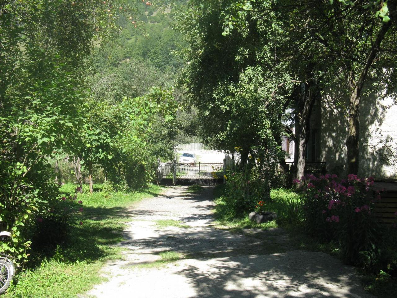 Ushba Otel Mestia Dış mekan fotoğraf